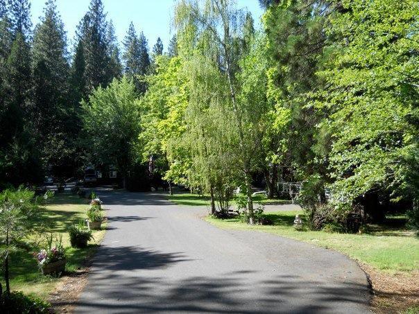 Gables Cedar Creek Inn Twain Harte Dış mekan fotoğraf